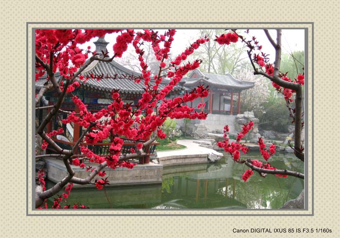 龙潭湖小景