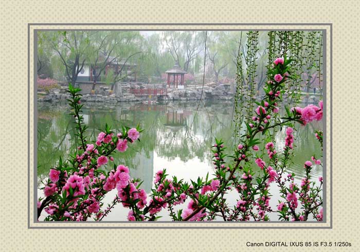 龙潭湖小景