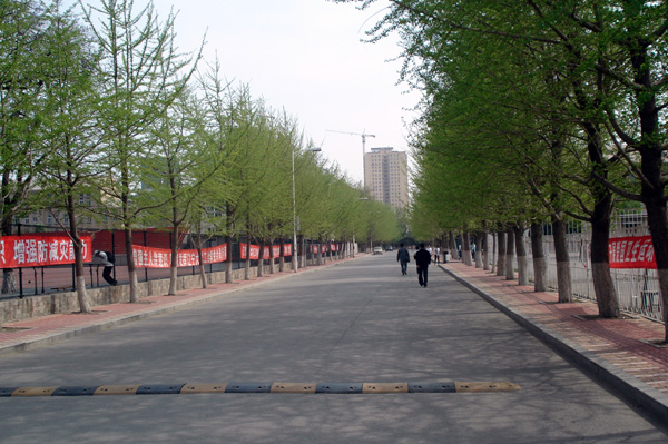 呵呵，暂时出不了国，身边转转吧！带你认识一下辽宁大学。