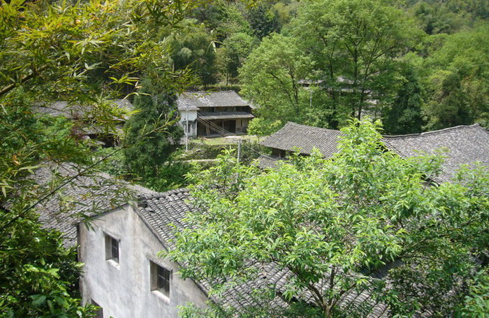 枯木逢春快乐温州行