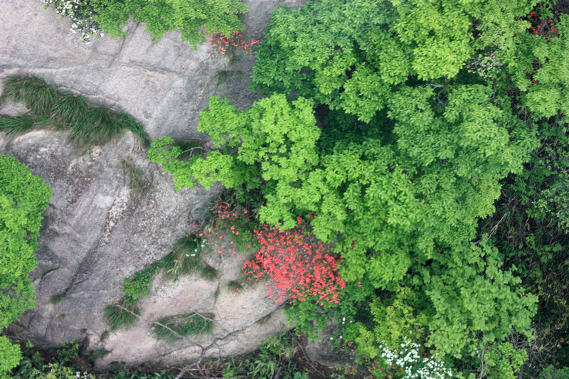 南行记<与爱同行>第二篇黄山:美丽的黄山华仔的故乡