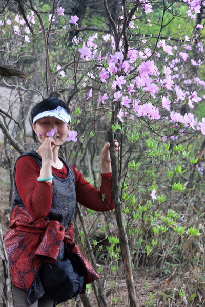 南行记<与爱同行>第二篇黄山:美丽的黄山华仔的故乡