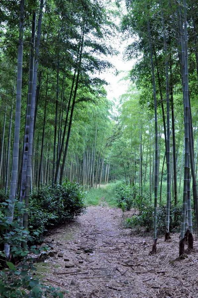 [分享]休闲养生好去处