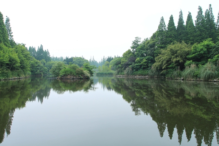 游世博、登崇明、逛乌镇