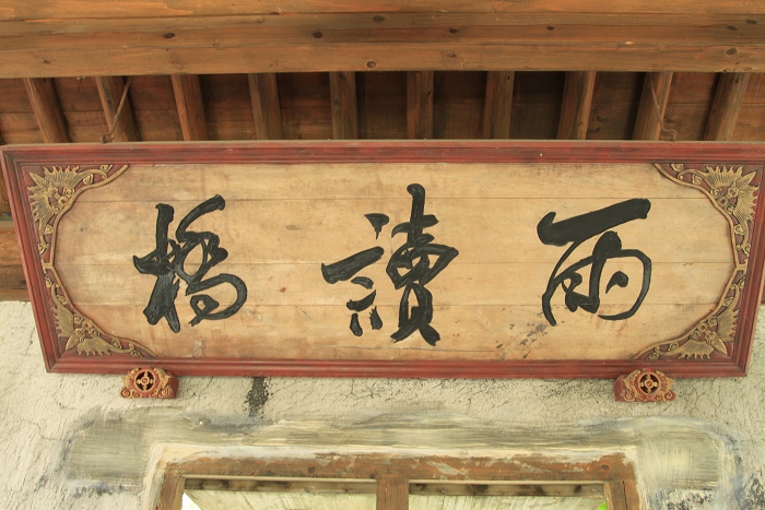 游世博、登崇明、逛乌镇