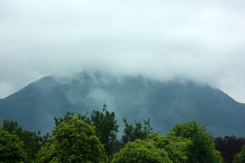 南行记<与爱同行>第二篇黄山:美丽的黄山华仔的故乡