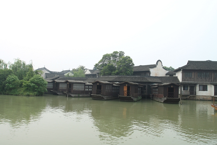 游世博、登崇明、逛乌镇