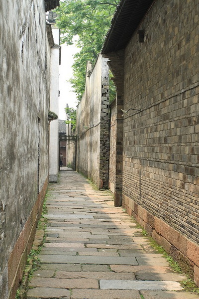 游世博、登崇明、逛乌镇