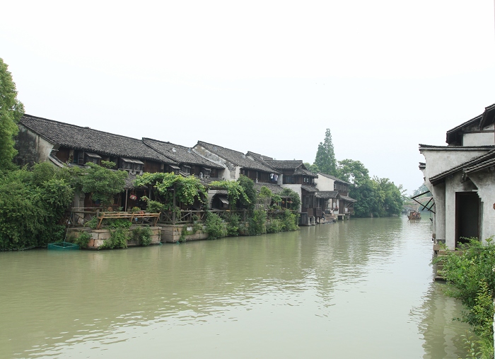 游世博、登崇明、逛乌镇