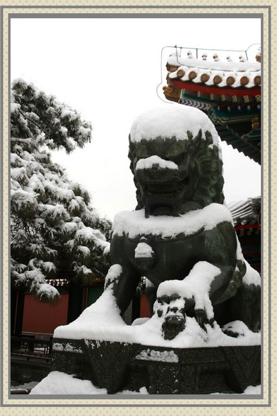 魔月天线摄影专辑欣赏