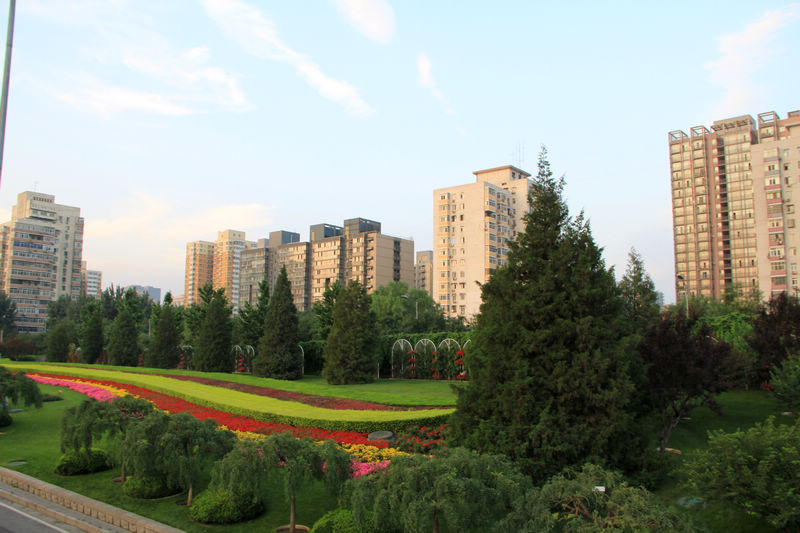 新手上路