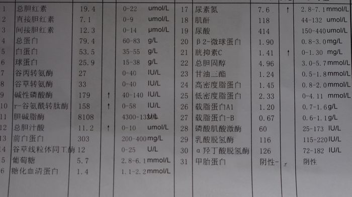 烦请帮我看一下彩超
