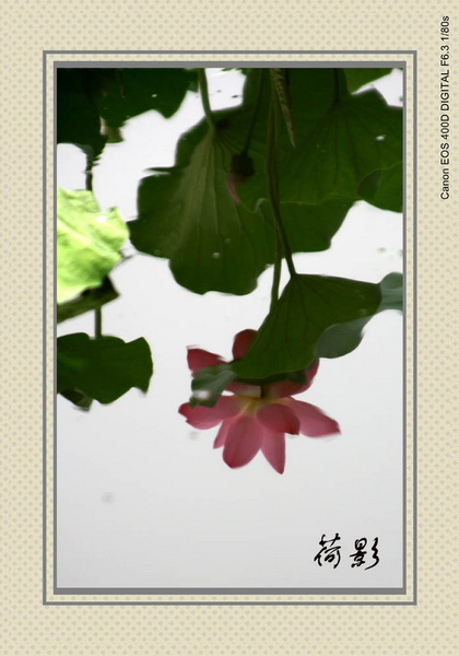 魔月天线摄影专辑欣赏