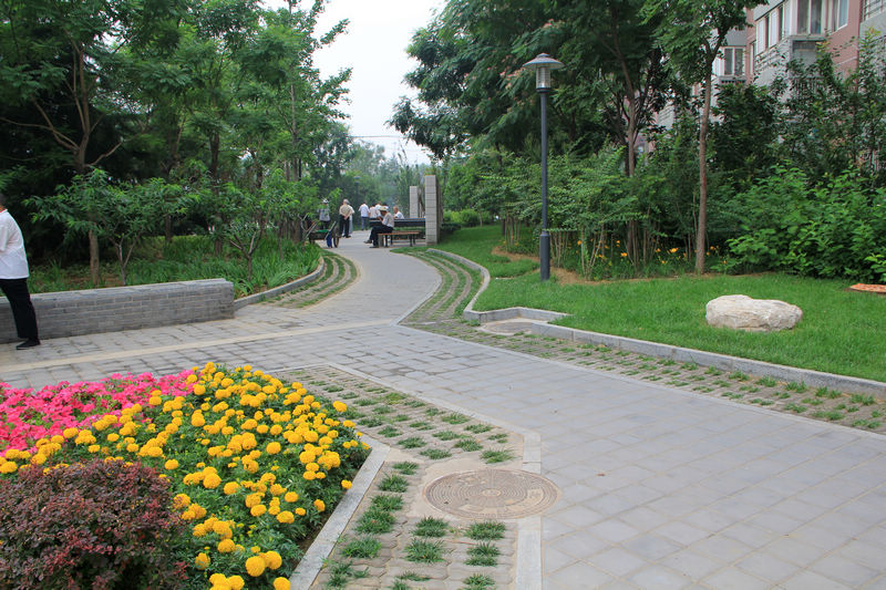 新手上路