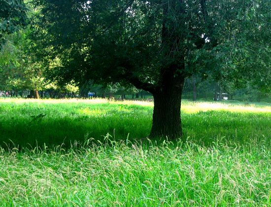 [原创]相约承德  圆梦塞外——承德行风采展示  大家一起来评说