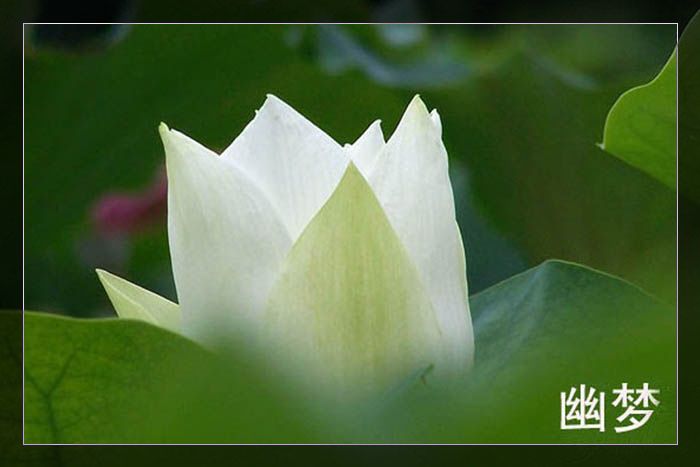 魔月天线摄影专辑欣赏