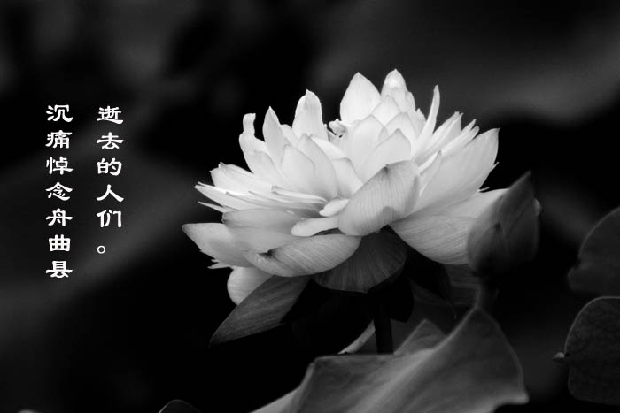 魔月天线摄影专辑欣赏