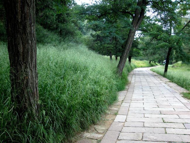 [原创]相约承德  圆梦塞外——承德行风采展示  大家一起来评说