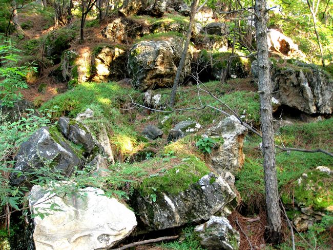 [原创]相约承德  圆梦塞外——承德行风采展示  大家一起来评说