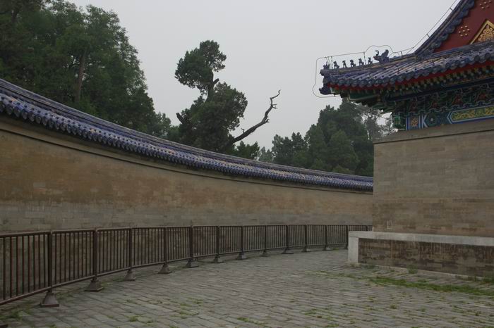 场内场外都精彩