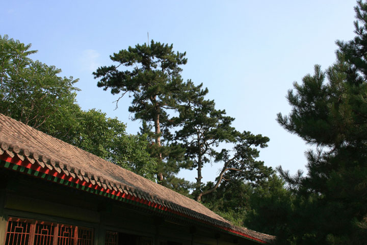 【原创】加明虎年摄影专辑 (不断增添中)－承德风光分享