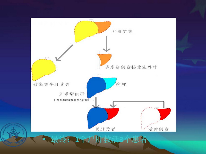 凤凰社肝移植长期生存交流会专家讲座提要