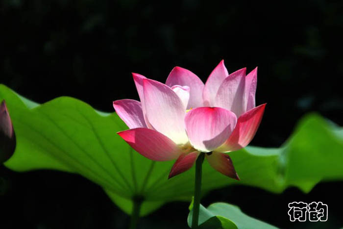 07Z6kWtF.jpg