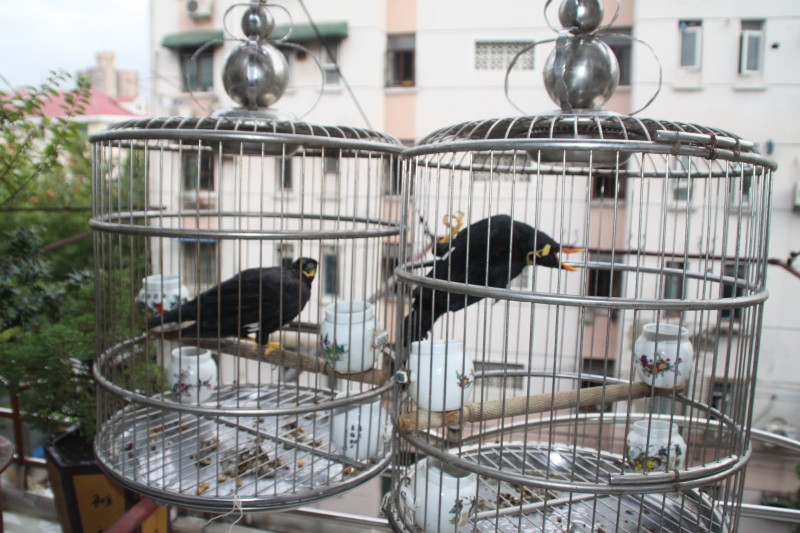 要换镜头了，高手请指教