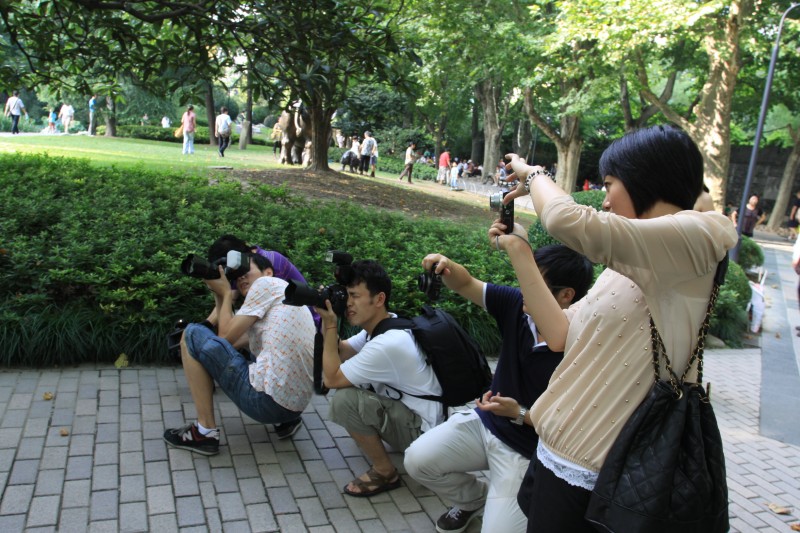 要换镜头了，高手请指教