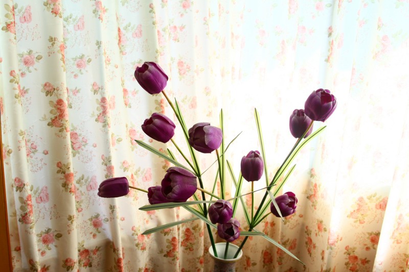 要换镜头了，高手请指教