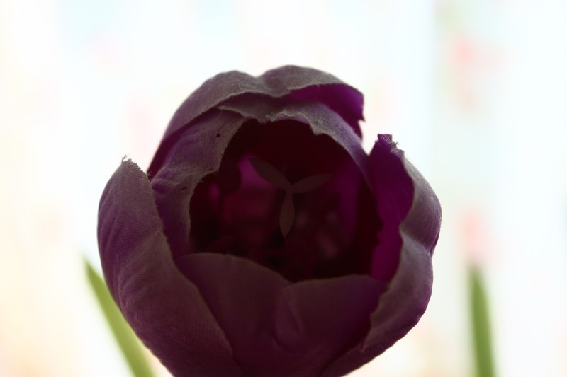 要换镜头了，高手请指教