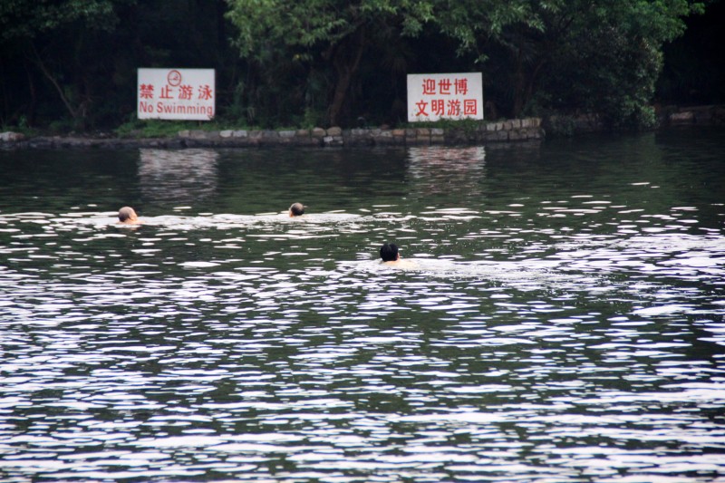 上海各大公园动态