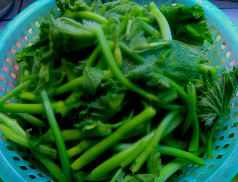 <b>看看我做的菜</b>