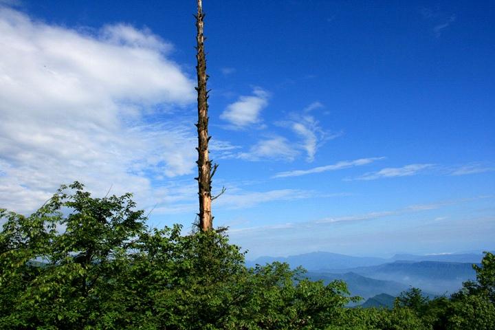【原创】加明虎年摄影专辑 (不断增添中)－四川风光分享
