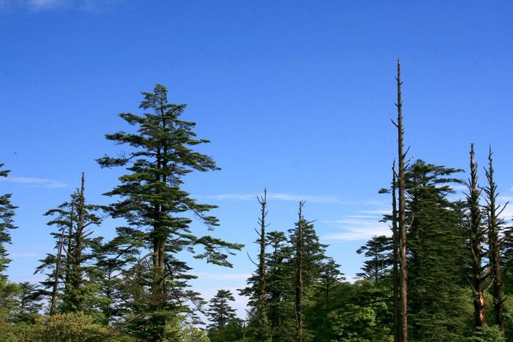 【原创】加明虎年摄影专辑 (不断增添中)－四川风光分享
