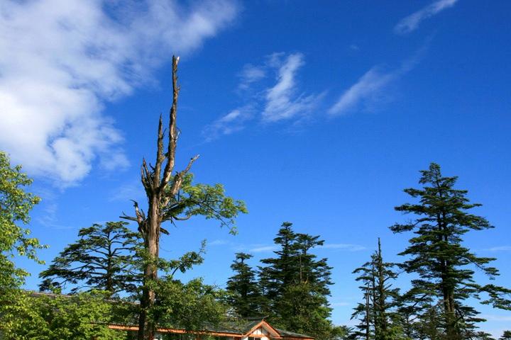 【原创】加明虎年摄影专辑 (不断增添中)－四川风光分享