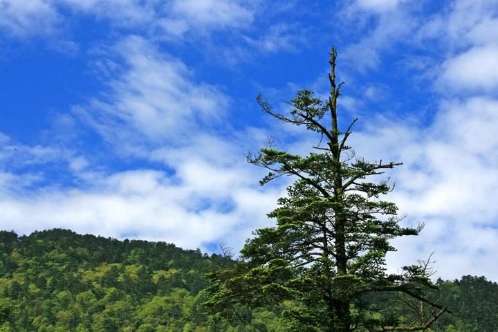 【原创】加明虎年摄影专辑 (不断增添中)－四川风光分享