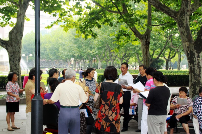上海各大公园动态