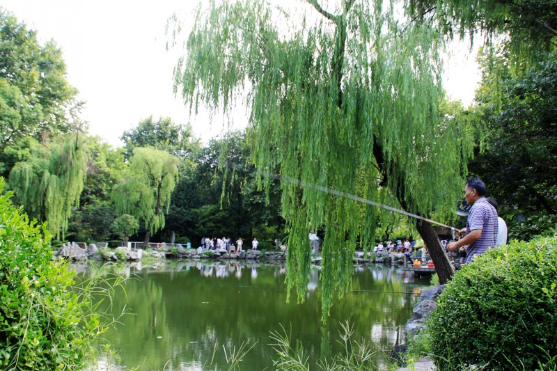 上海各大公园动态