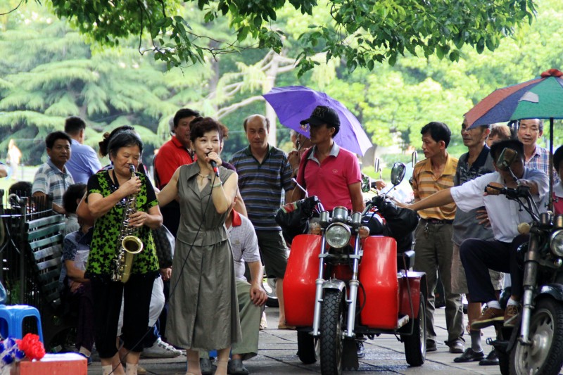 上海各大公园动态